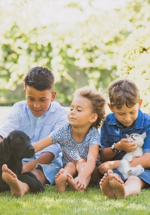 AOB_Services_Images_Flea_Tick