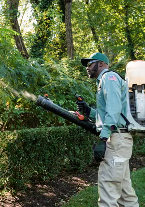 AOB_Services_Images_Mosquito