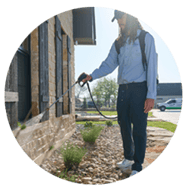 Services_Images-organic