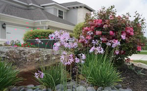 Tree-Shrub-Fertilization-Northwest-Arkansas