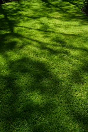 pexels-titouan-jullien-504247666-34943931