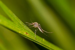 AdobeStock_438881590