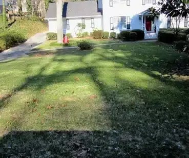 before-weed-control