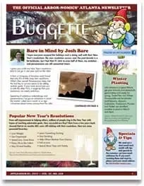 bugette-2017