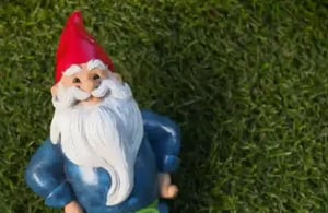 video-lawn-lesson-one-460x300