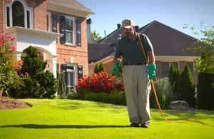 video-lawn-lesson-two-460x300