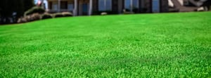 why-arbor-banner