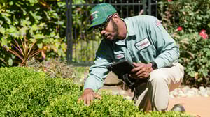 Technician-inspecting-bush-2-e1674768314215