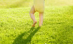 baby-grass-textimage