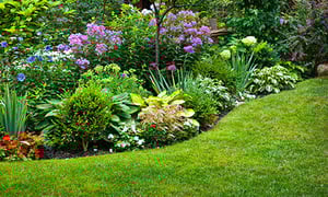 flowerbed-lawn-textimage