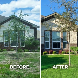 Before-After-650x650_2