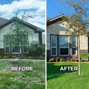 Before-After-650x650_4 (1)