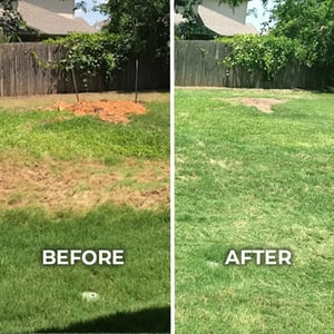 Before-After-650x650_5 (1)