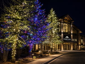 Commercial Decor Tree Lights