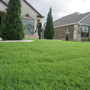 Emerald Lawns applying weed control treatments.