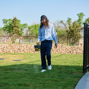 Emerald Lawns provides overseeding lawn care in Dallas.