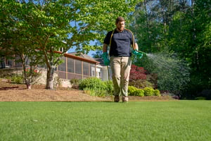 Flea and Tick Control Matters