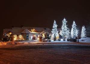 senske holiday ligths white lights christmas trees