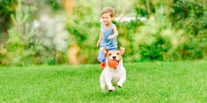 Lawn-Pest-Control