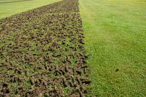 core-aeration-senske