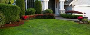 font-yard-flowerbeds-header-1