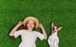 lawn-care-tips-senske