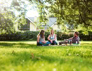 lawn-picnic-1