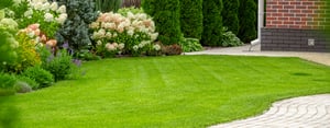 lawn-shrubs-header-3