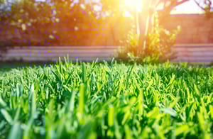 shutterstock_357748682-1-scaled