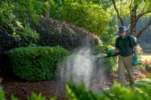 MOSQUITO SERVICES two