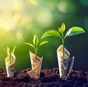Money Growth