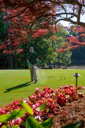 Our Comprehensive Armyworm