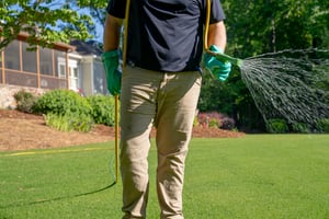 Pest Control Solutions