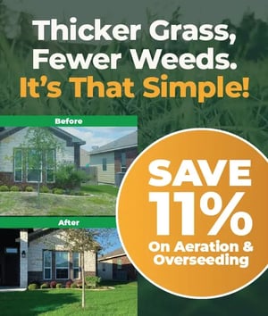 AOS_LP_Expand_Offer_v2