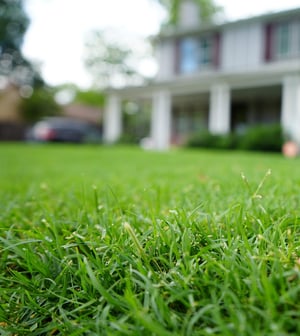 DSC00636-scaled-careercrop