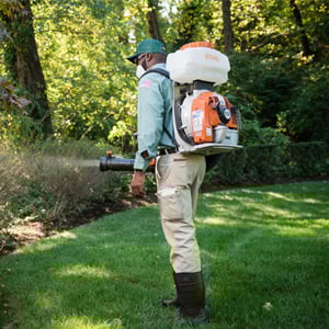Mosquito Control in Plainfield, IL