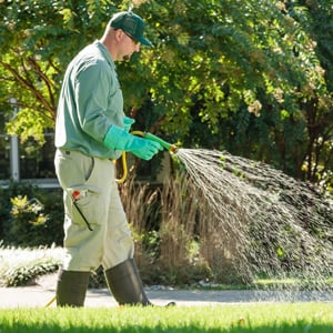 Lawn Care Services in Belton MO