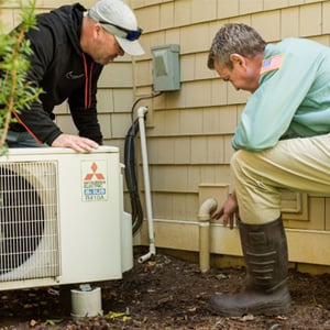 Belton Pest Exterminators 