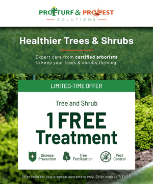 PT__Shrub_Ad_480x576-16