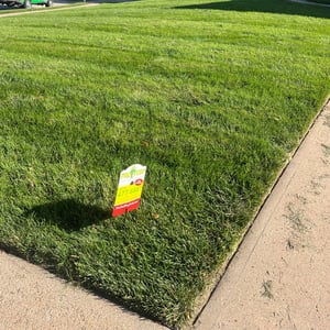 Pro Turf Lawn Care Services