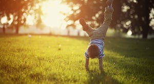 pro_turf_lawn_care_image_c