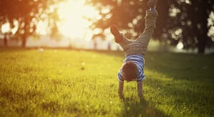 pro_turf_lawn_care_image_c