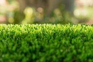 turf-grass-benefits