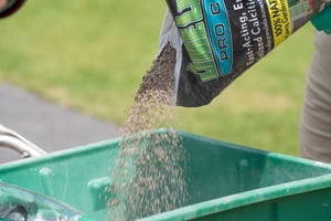 Tailored For Success 2