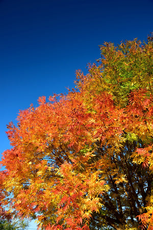 AdobeStock_361671993