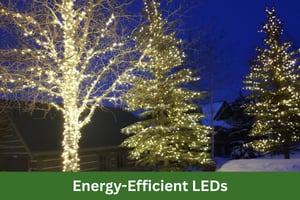Energy-Efficient+LEDs+Turf+Doctor