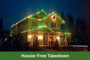 Hassle-Free+Takedown+Turf+Doctor