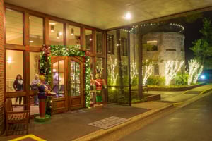 Holiday+Magic++Commercial+Turf+Doctor