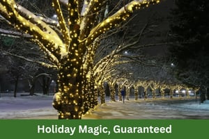 Holiday+Magic+Turf+Doctor