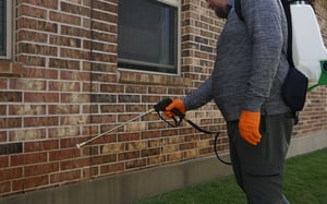 Home-Pest-Control-Northwest-Arkansas